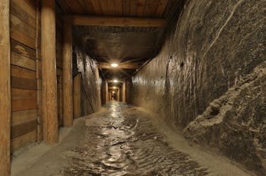 Экскурсия по соляным шахтам Велички с гидом на транспорте из Кракова